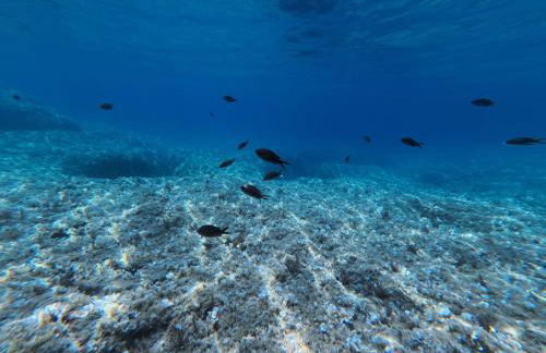 Villa Stefania - Foto 39