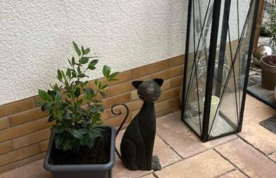 Ferienwohnungen Koch - Foto 22