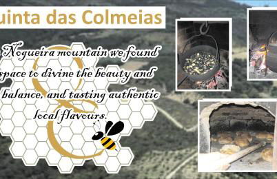 Quinta das Colmeias - Foto 10