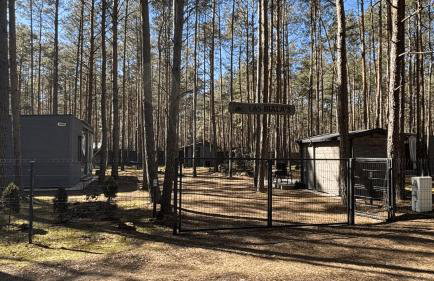 Las Biala's - Domki z sauną i jacuzzi w Puszczy Noteckiej - Tylko dla dorosłych - Foto 42