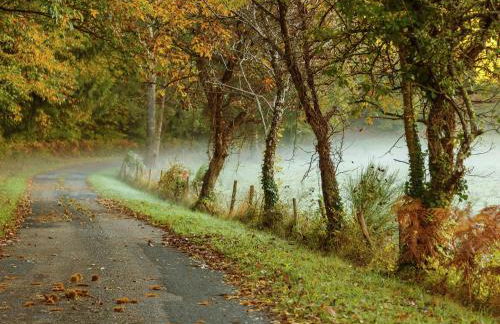 Forest Hideaway in Saint-Caprais - Foto 31