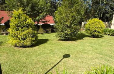 Duplex com vista espetacular no Morro do Elefante! - Foto 38