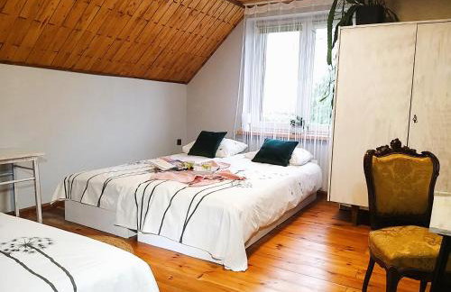 M&E Cztery pory roku Szklarka 25A - Foto 19