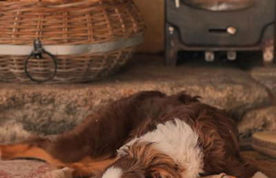 Kitts Cottage, Redruth, Cosy Cornish Retreat - Photo 19