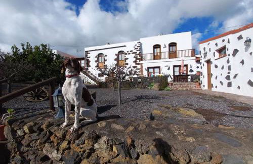 Las Casas del Abuelito Julián & la Abuela Leonor - Foto 39