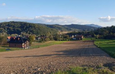 Guzikowa Chata - Foto 13