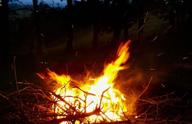 Dam It Getaway- Homestead - Foto 21