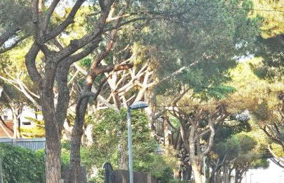 El PI Apartamento con jardín a 2 minutos playa y 2 minutos centro - Foto 15