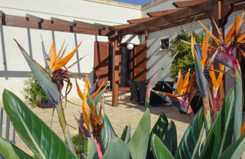 Masseria Giulio - Foto 15