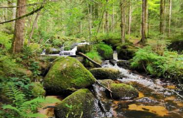 Charmante maison de famille au calme, 5 chambres, jacuzzi - Foto 58