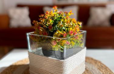 Le Méli-Mélo de Beauval - Foto 13