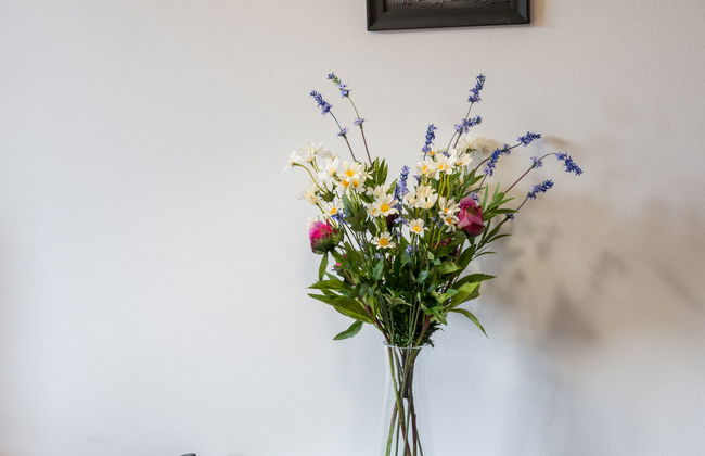 Sluneční stráň IV - Photo 8