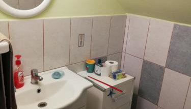Paun - Foto 4