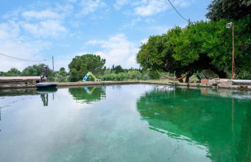 Mas Guineu - Foto 21