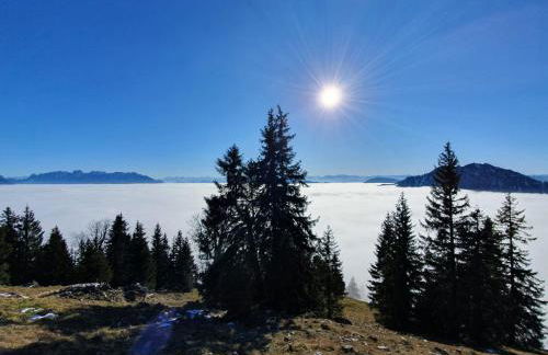 Ferienwohnungen Wagenstaller - Foto 31