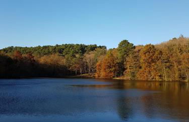 Paimpont: Gîte de la Haute Fenderie - Foto 20