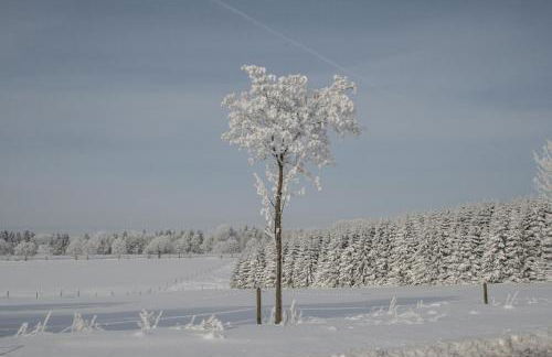 Haus am Oberen Eschenbacher Teich - Foto 31