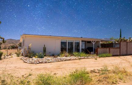 The Whispering Wind Tree - Foto 37