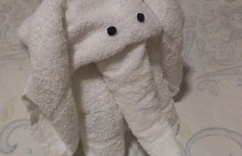 casa aconchegante - Foto 11