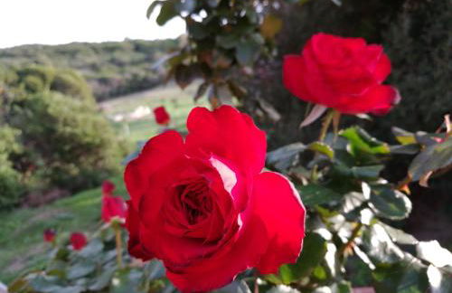 Country House Vignola Mare - Photo 27