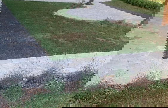 The Starlings Apartments - Foto 58