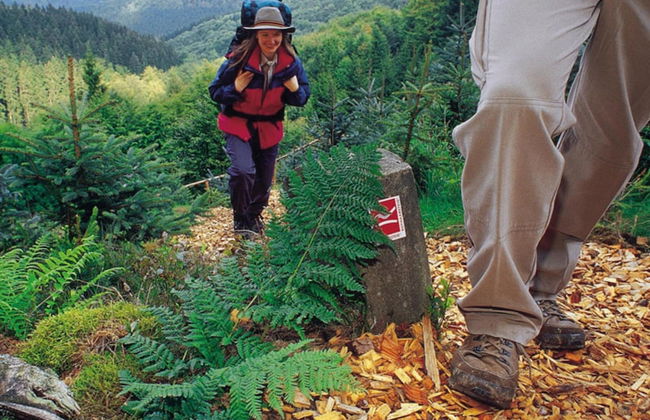 Deluxe Holiday Home in Brilon-wald Near Ski Area - Foto 42