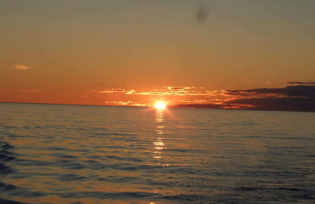 6 Person Holiday Home in Rebbenes - Photo 50