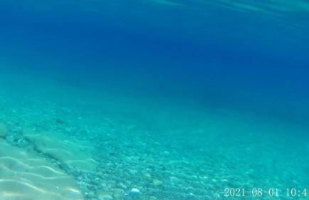 Una finestra sul glicine - Foto 27