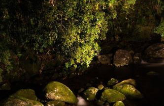 CurtaTere piscina lareira pet friendly jardim - Foto 71