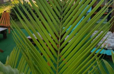 Condominio Vila Lila - Foto 51