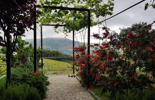 Vila Marim Country Houses - Photo 28