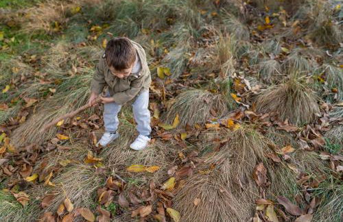 Casa Rural La Rosquilla - Foto 35