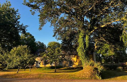 Les Cocons d'Agathe - Penn ar Gwel - en campagne à 5 min des plages - Foto 4