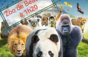 Gîte de charme dans un cadre calme et reposant - Foto 22