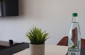 Ferienwohnung Sayntal - Blick auf Schloss Sayn - Foto 10