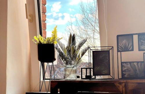 Suburban Jungle - Foto 10