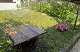BeB Trieste al Massimo casa indipendente con giardino privato e posto macchina gratuito - Foto 21