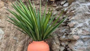 Amalour Villa - Foto 3