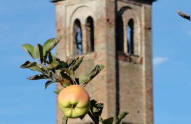 Agriturismo Santa Maria Bressanoro - Foto 32