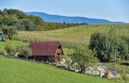 Beautiful Home In Radakovo With Sauna - Photo 14