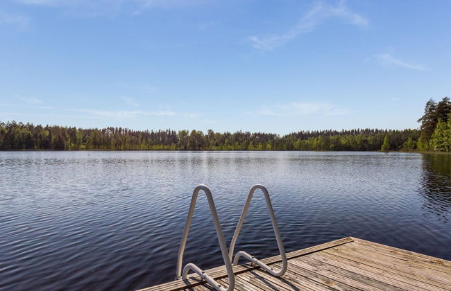 Koivuniemen rouva - Foto 5