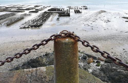 Gites Ferme de la Baie - Foto 47