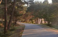 Apartamento Praia Naval - Foto 15