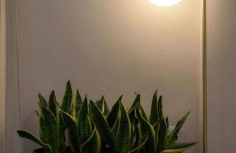 Regina's Downtown Apartment by CorfuEscapes - Foto 16