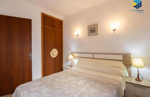 Ca na Planta - Foto 11