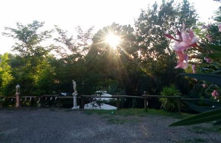 Casolare Toscano - Foto 10