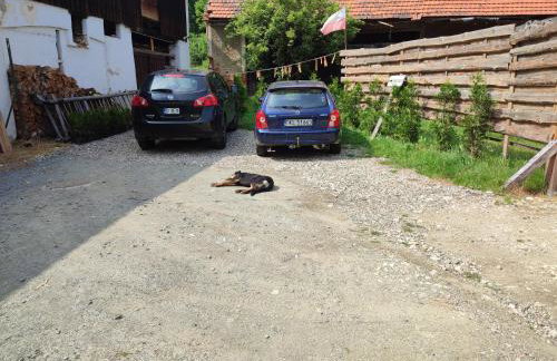 Magnoliowy Zakątek - Foto 46