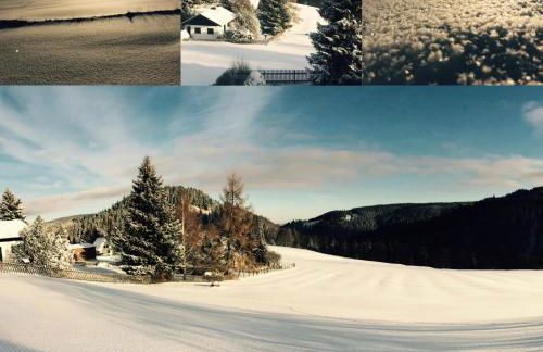 Ferienwohnung Gabelbachskopf - Foto 15