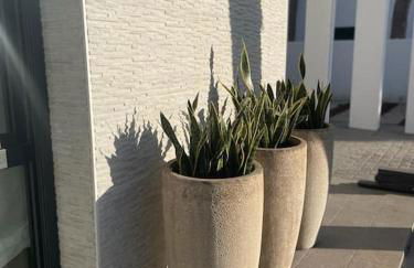 Villa Cactae - Foto 61