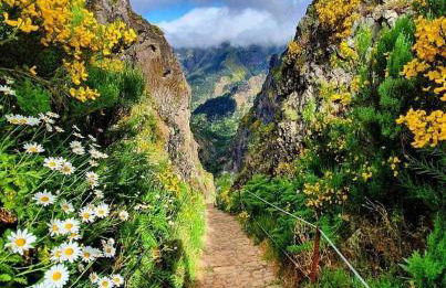 Casa Martins - Foto 54